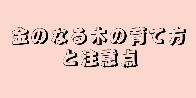 金のなる木の育て方と注意点