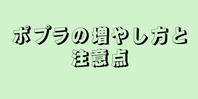ポプラの増やし方と注意点