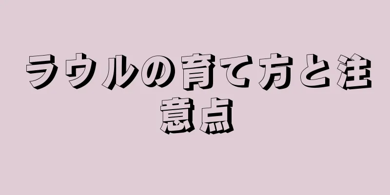 ラウルの育て方と注意点