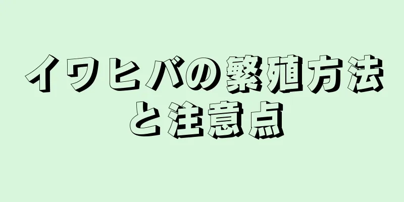 イワヒバの繁殖方法と注意点