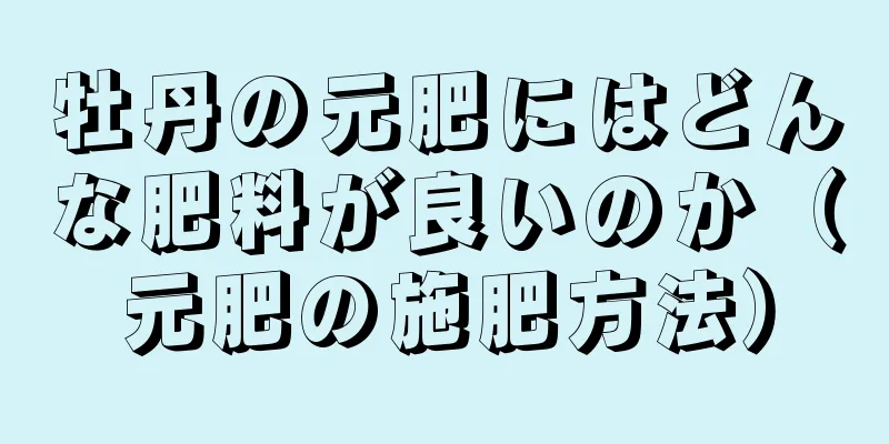 牡丹の元肥にはどんな肥料が良いのか（元肥の施肥方法）