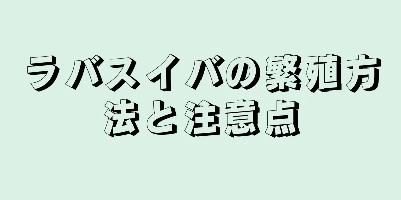 ラバスイバの繁殖方法と注意点