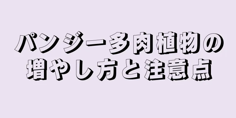 パンジー多肉植物の増やし方と注意点
