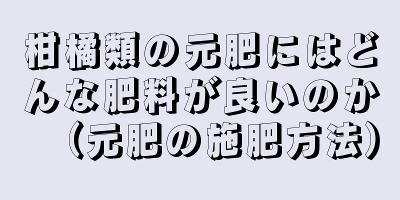 柑橘類の元肥にはどんな肥料が良いのか（元肥の施肥方法）