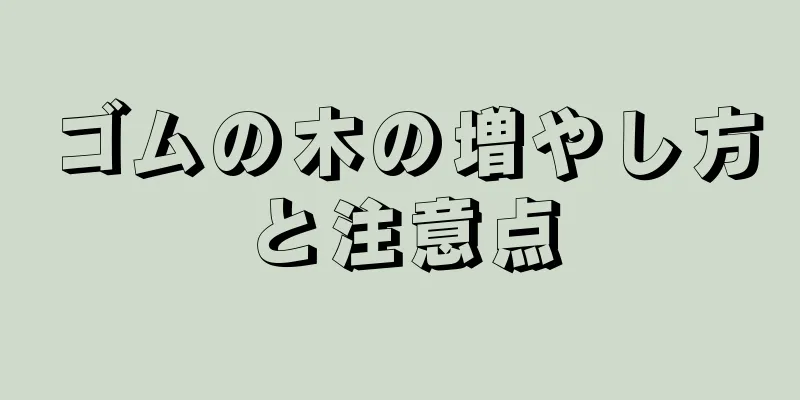 ゴムの木の増やし方と注意点