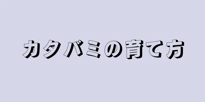 カタバミの育て方