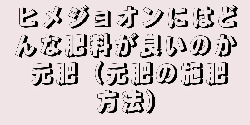 ヒメジョオンにはどんな肥料が良いのか 元肥（元肥の施肥方法）