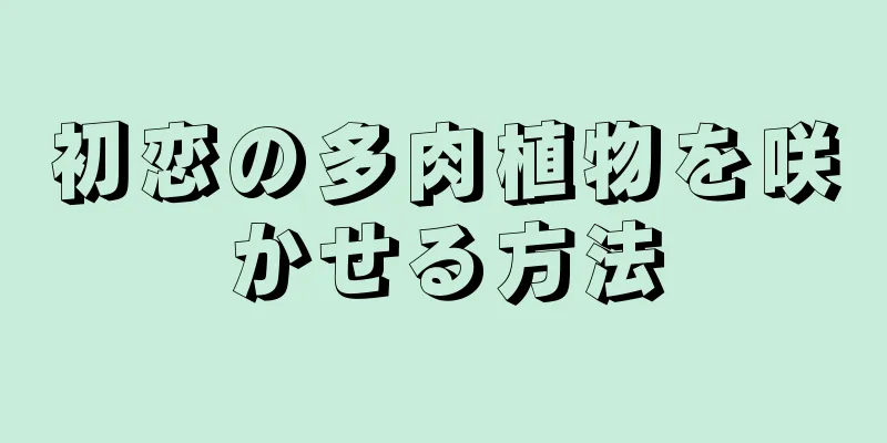 初恋の多肉植物を咲かせる方法