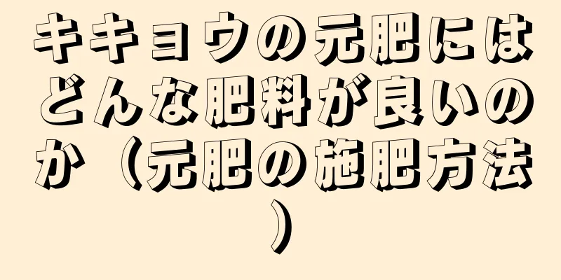 キキョウの元肥にはどんな肥料が良いのか（元肥の施肥方法）