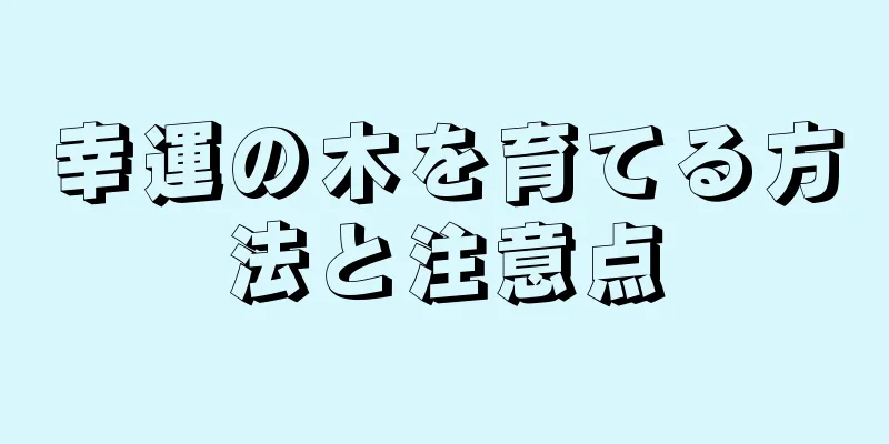 幸運の木を育てる方法と注意点
