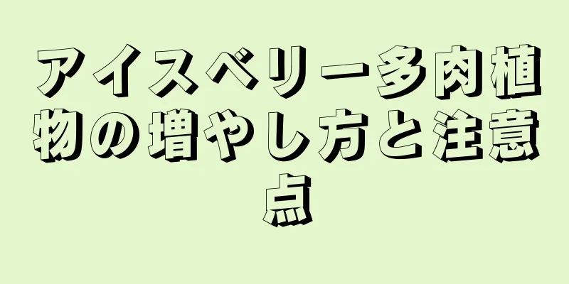 アイスベリー多肉植物の増やし方と注意点