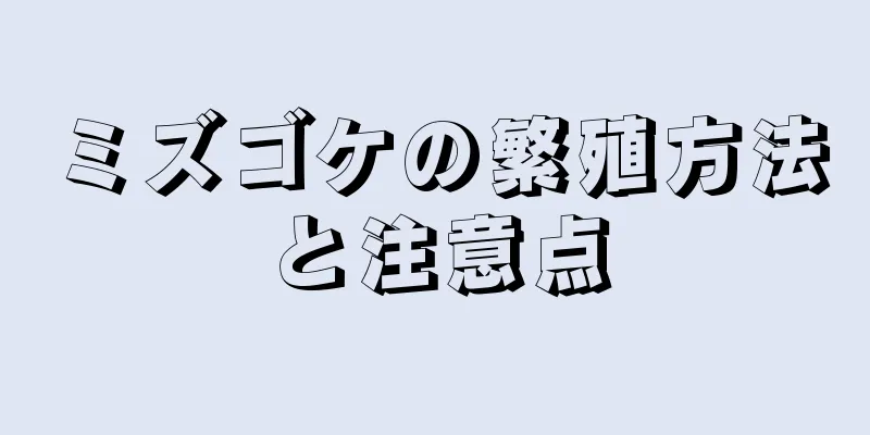 ミズゴケの繁殖方法と注意点