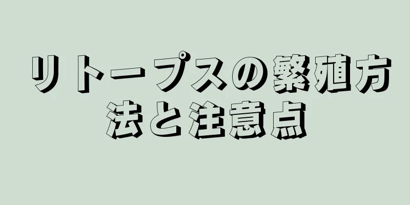 リトープスの繁殖方法と注意点
