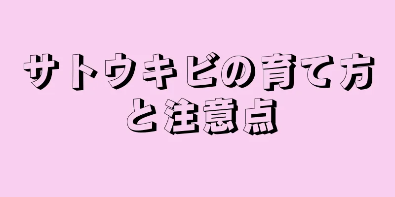 サトウキビの育て方と注意点