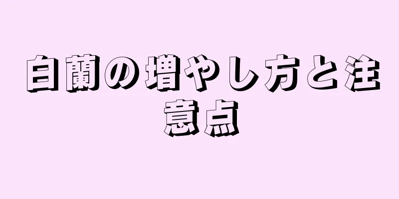 白蘭の増やし方と注意点