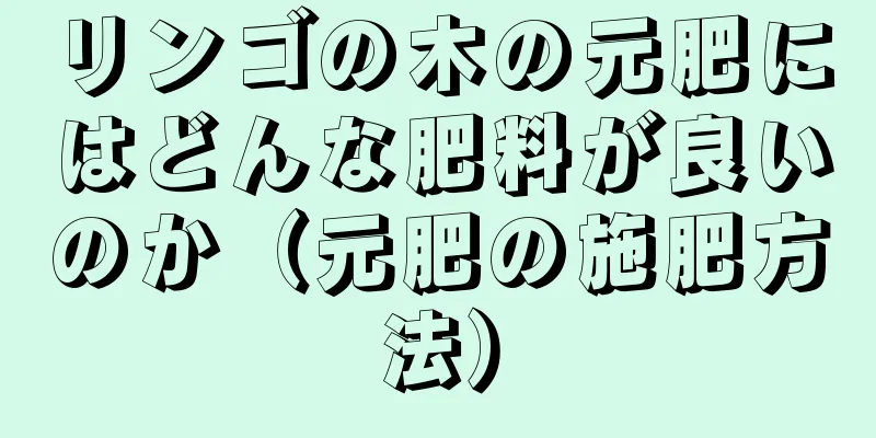 リンゴの木の元肥にはどんな肥料が良いのか（元肥の施肥方法）
