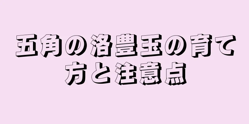 五角の洛豊玉の育て方と注意点