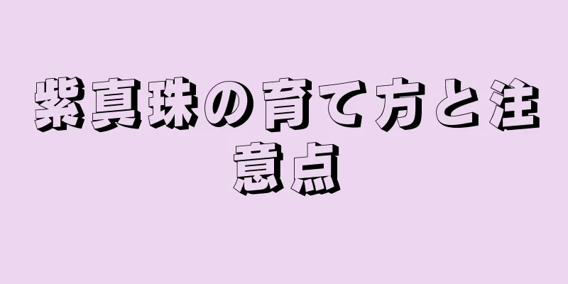 紫真珠の育て方と注意点