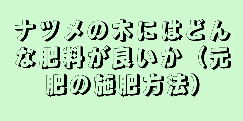 ナツメの木にはどんな肥料が良いか（元肥の施肥方法）