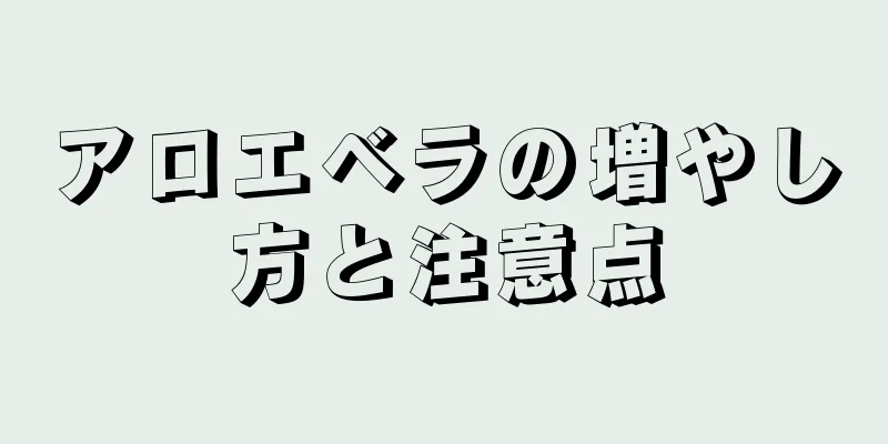 アロエベラの増やし方と注意点