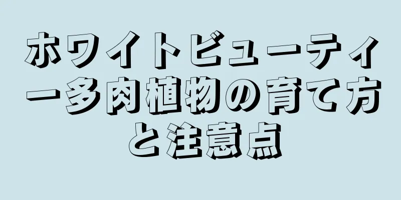 ホワイトビューティー多肉植物の育て方と注意点
