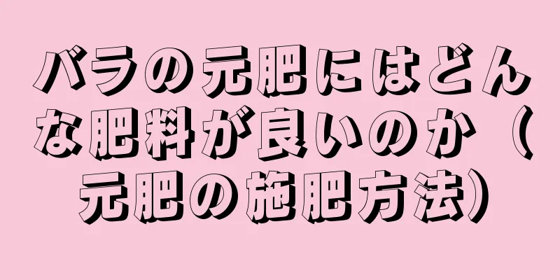 バラの元肥にはどんな肥料が良いのか（元肥の施肥方法）