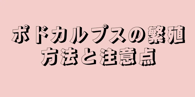 ポドカルプスの繁殖方法と注意点