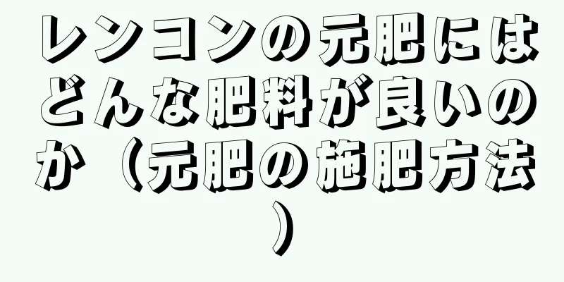 レンコンの元肥にはどんな肥料が良いのか（元肥の施肥方法）
