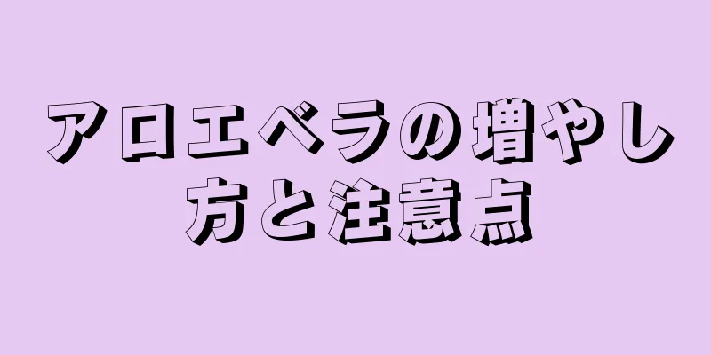 アロエベラの増やし方と注意点