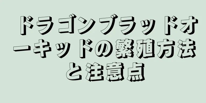 ドラゴンブラッドオーキッドの繁殖方法と注意点