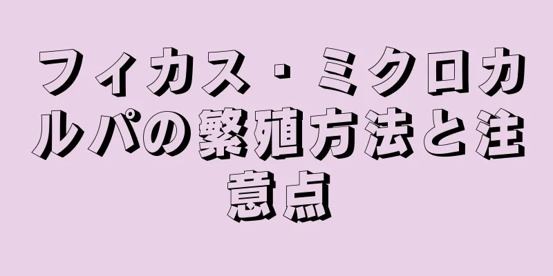 フィカス・ミクロカルパの繁殖方法と注意点