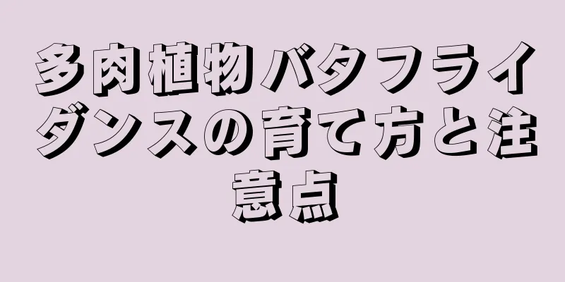 多肉植物バタフライダンスの育て方と注意点