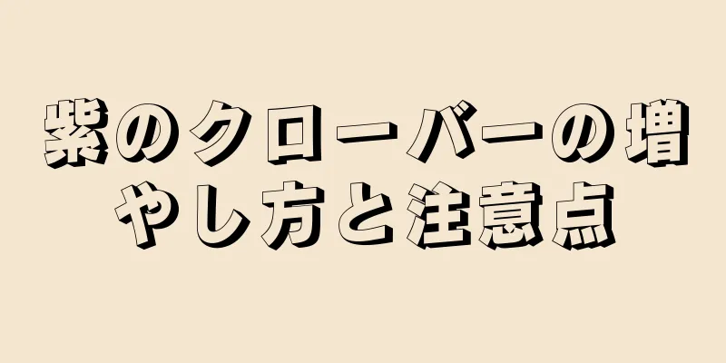 紫のクローバーの増やし方と注意点