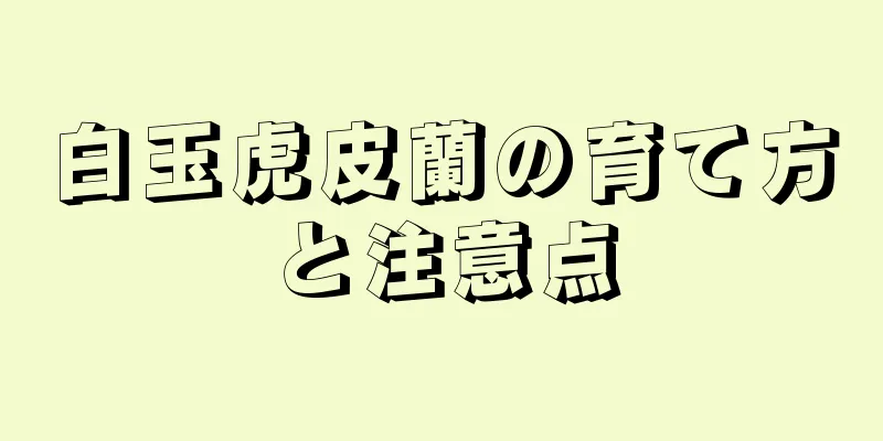白玉虎皮蘭の育て方と注意点