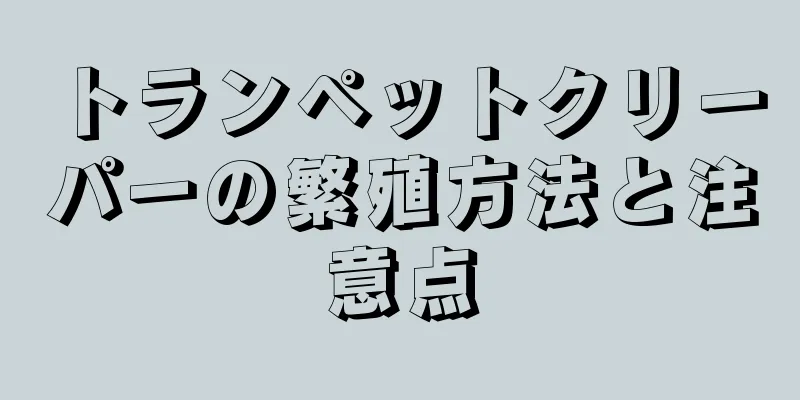 トランペットクリーパーの繁殖方法と注意点