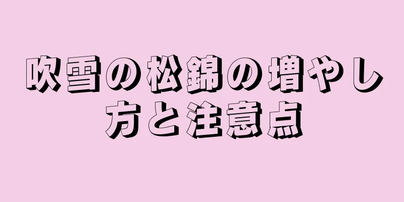 吹雪の松錦の増やし方と注意点
