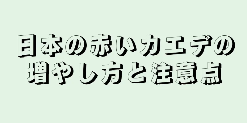 日本の赤いカエデの増やし方と注意点