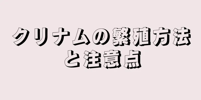 クリナムの繁殖方法と注意点