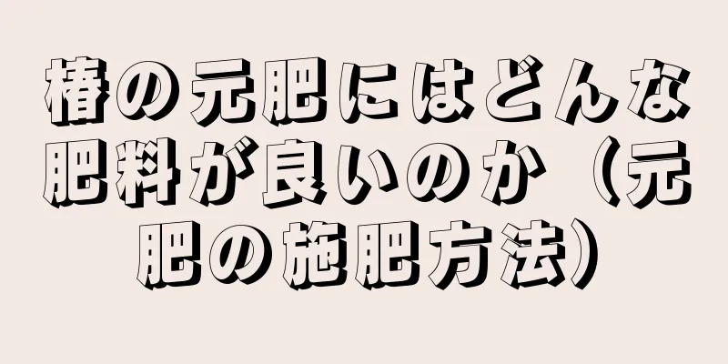 椿の元肥にはどんな肥料が良いのか（元肥の施肥方法）