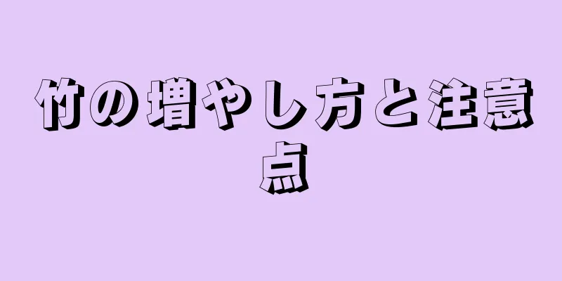 竹の増やし方と注意点