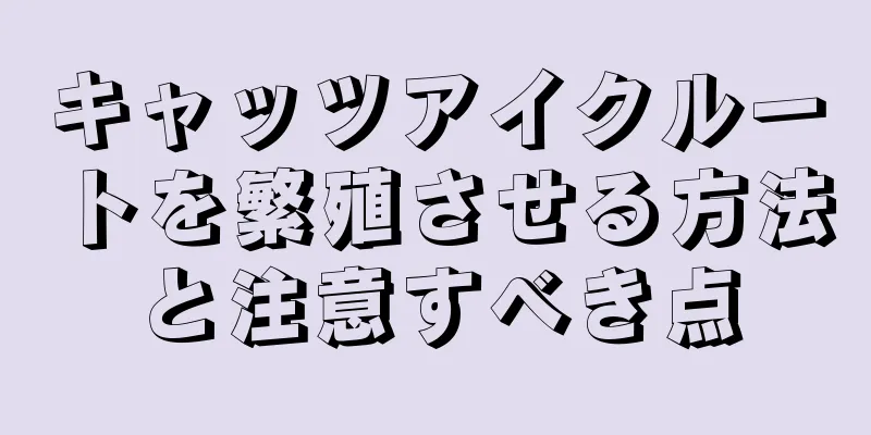 キャッツアイクルートを繁殖させる方法と注意すべき点