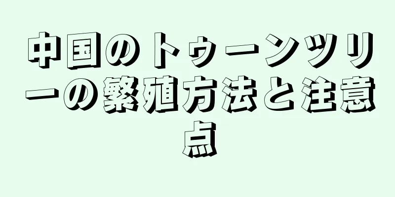 中国のトゥーンツリーの繁殖方法と注意点