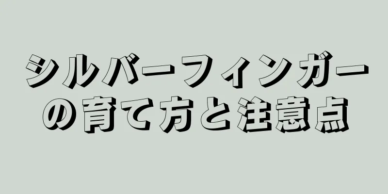 シルバーフィンガーの育て方と注意点