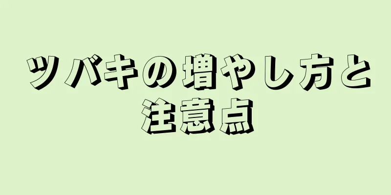 ツバキの増やし方と注意点