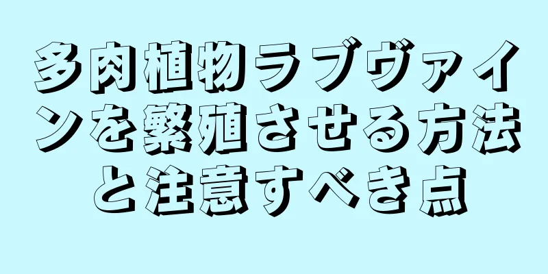 多肉植物ラブヴァインを繁殖させる方法と注意すべき点