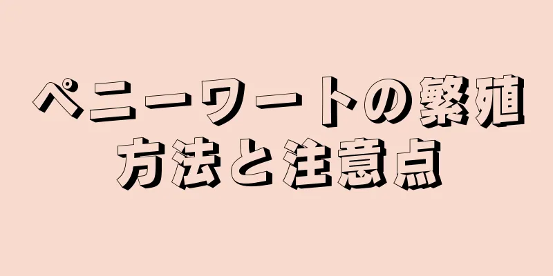 ペニーワートの繁殖方法と注意点