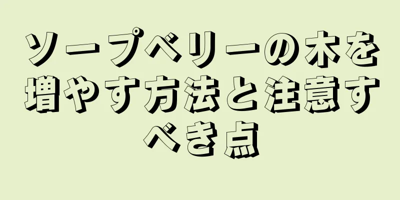 ソープベリーの木を増やす方法と注意すべき点