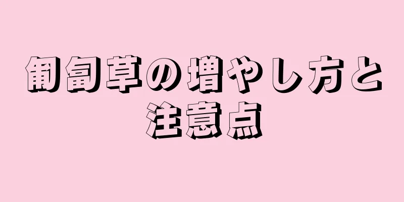 匍匐草の増やし方と注意点