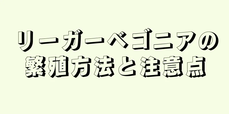 リーガーベゴニアの繁殖方法と注意点