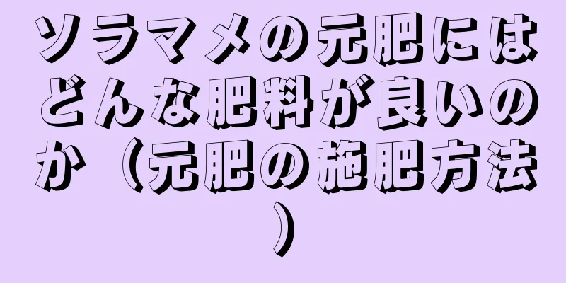 ソラマメの元肥にはどんな肥料が良いのか（元肥の施肥方法）